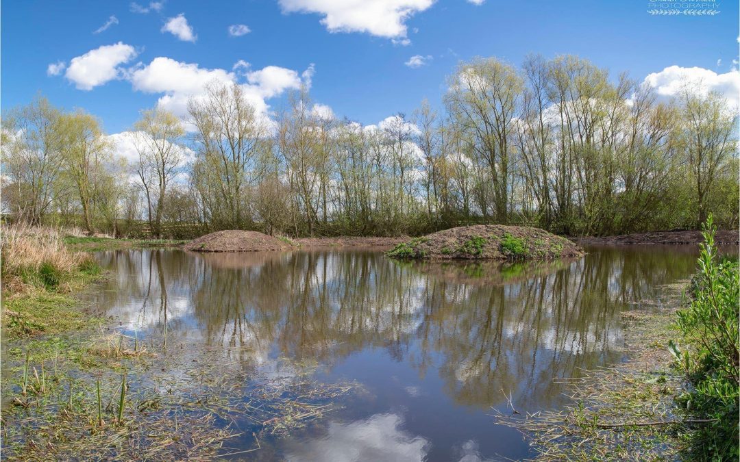 RSPB Matford Marshes, Exeter
