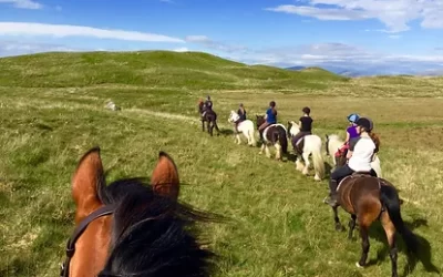 Shilstone Rocks Riding Centre, Newton Abbot