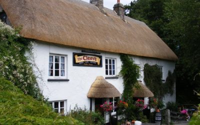 The Cleave, Lustleigh