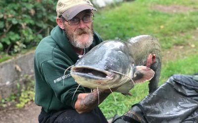 Town Parks Fishing, Paignton