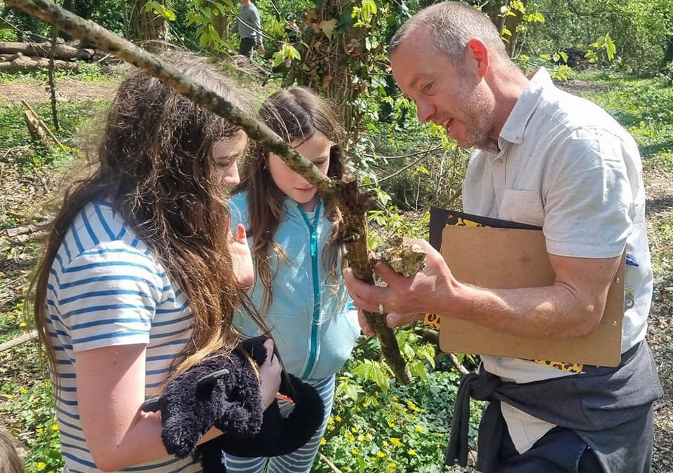 Wilderfox, Chudleigh